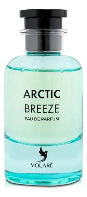 Perfume Volare Arctic Breeze Eau de Parfum 100ml Unissex
